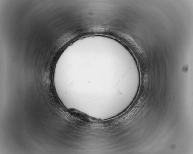 X0000103461209200810031450