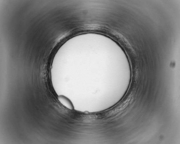 X0000103461210200810031450