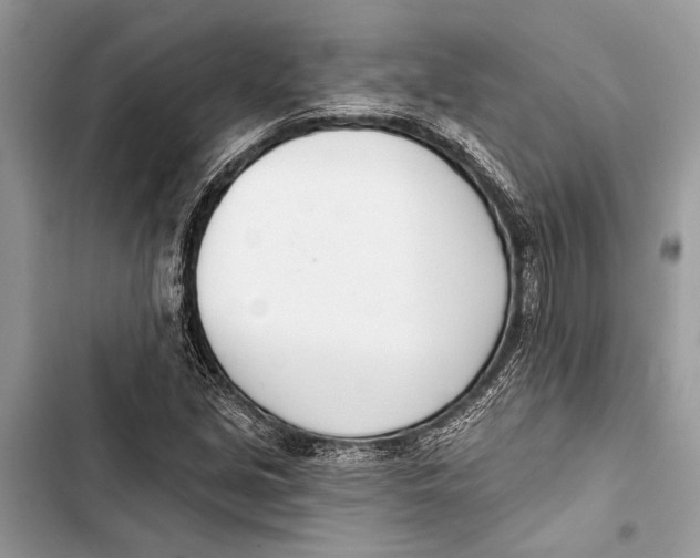 X0000103461213200810031450