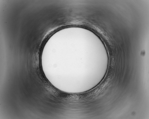 X0000103461214200810031450