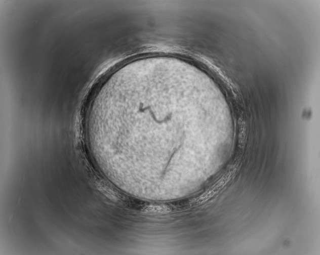 X0000103461215200810031450