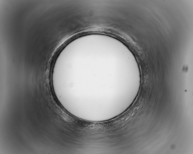 X0000103461216200810031450