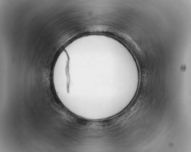 X0000103461217200810031450