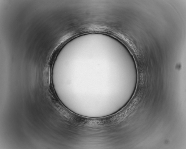 X0000103461219200810031450