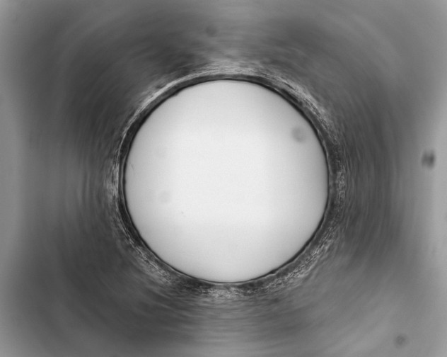 X0000103461220200810031450