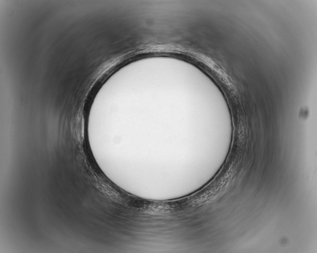 X0000103461221200810031450