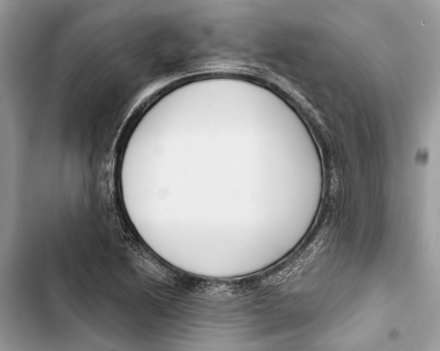 X0000103461222200810031450