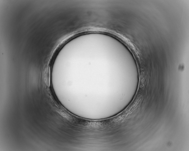 X0000103461223200810031450