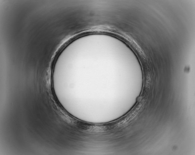 X0000103461224200810031450