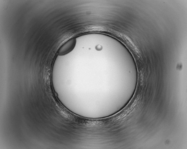 X0000103461225200810031450