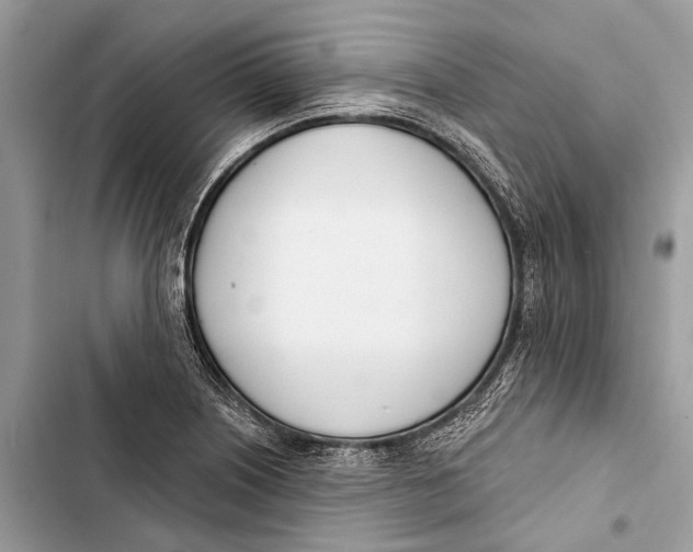 X0000103461226200810031450