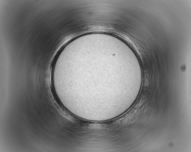 X0000103461227200810031450