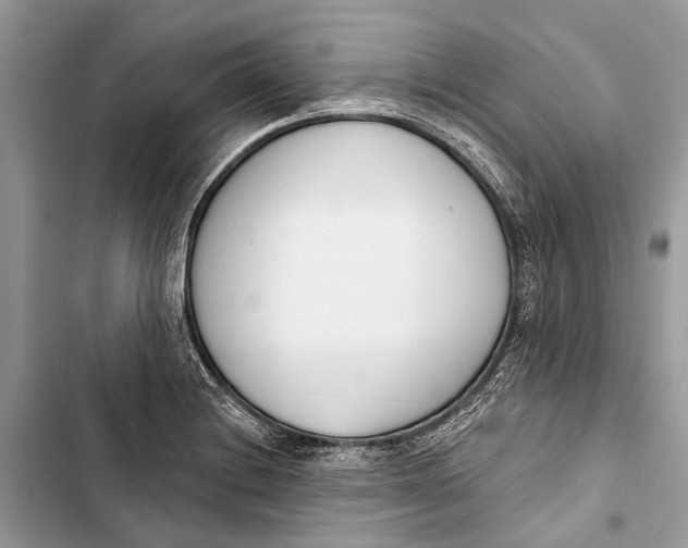 X0000103461228200810031450