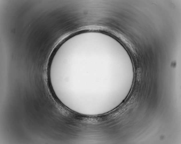 X0000103461229200810031450