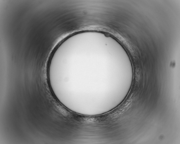 X0000103461230200810031450