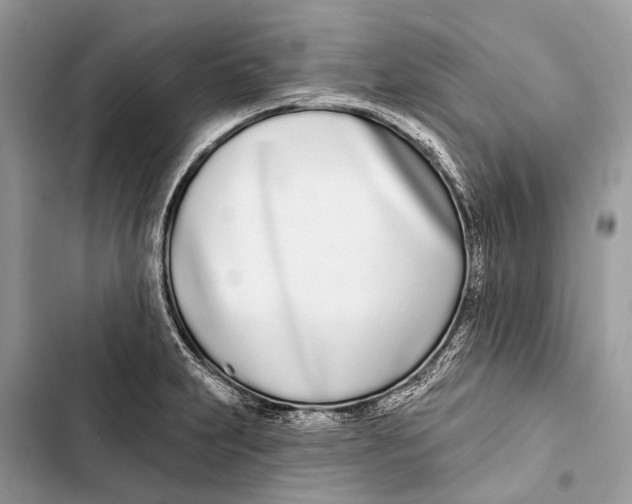 X0000103461231200810031450