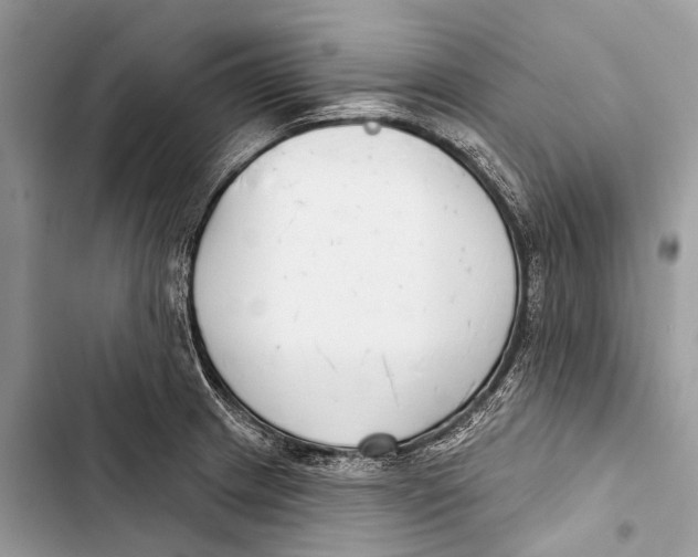 X0000103461233200810031451