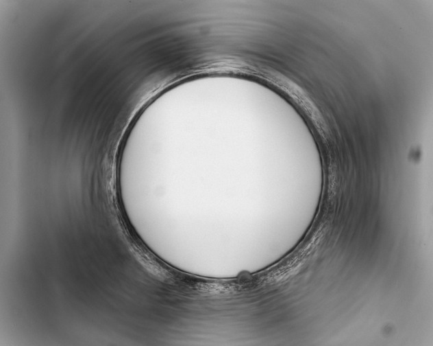 X0000103461234200810031451