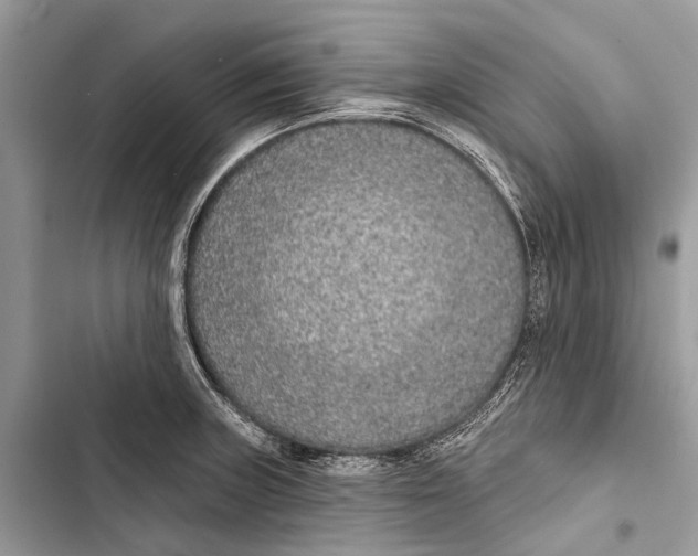 X0000103461235200810031451