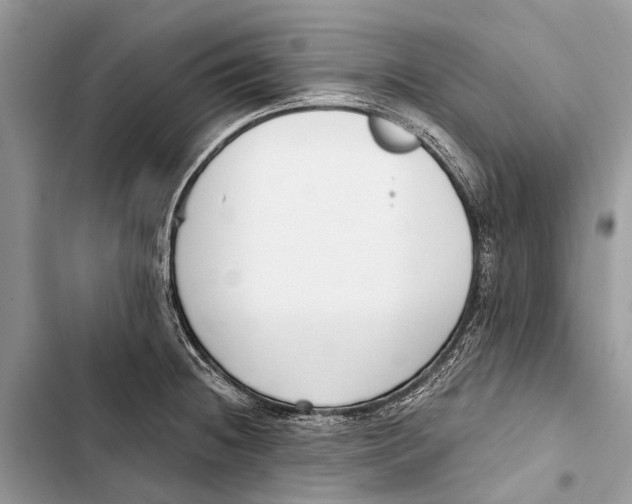 X0000103461236200810031451