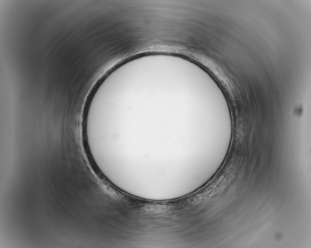 X0000103461237200810031451