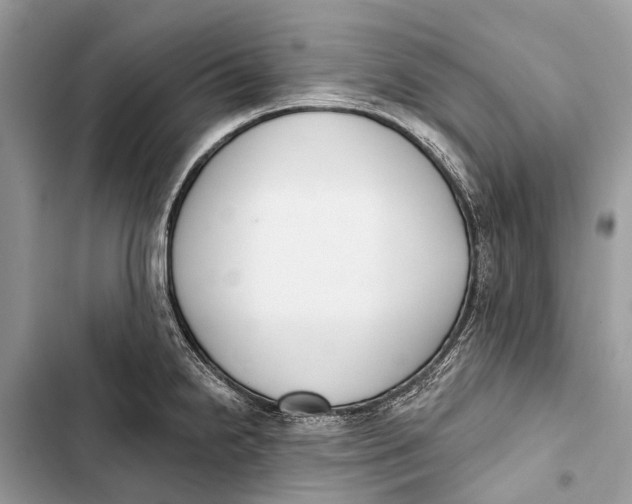 X0000103461238200810031451