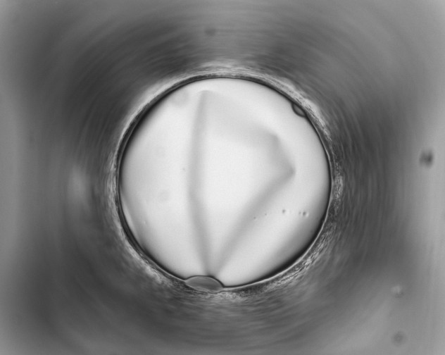 X0000103461239200810031451