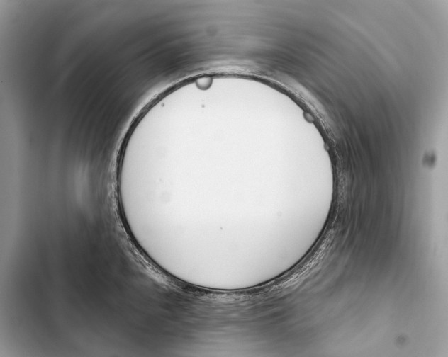 X0000103461240200810031451