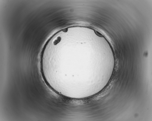 X0000103461243200810031451