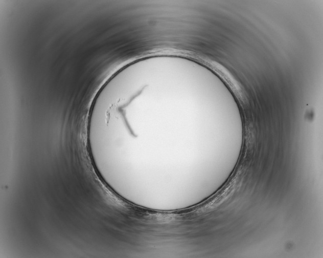 X0000103461244200810031451