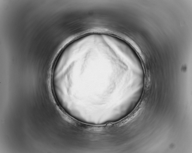 X0000103461245200810031451