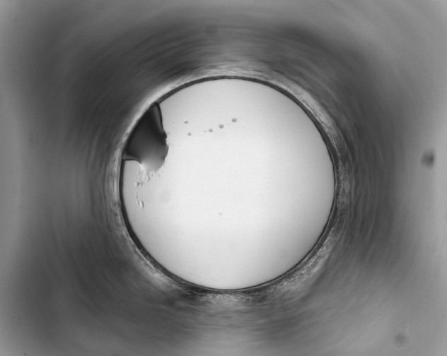 X0000103461246200810031451