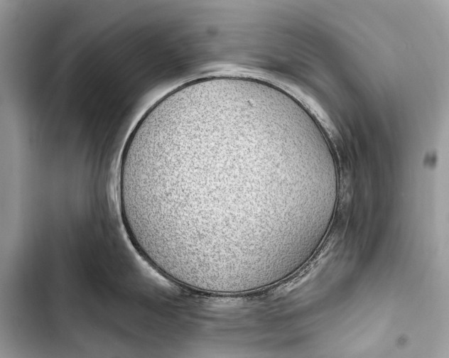 X0000103461247200810031451