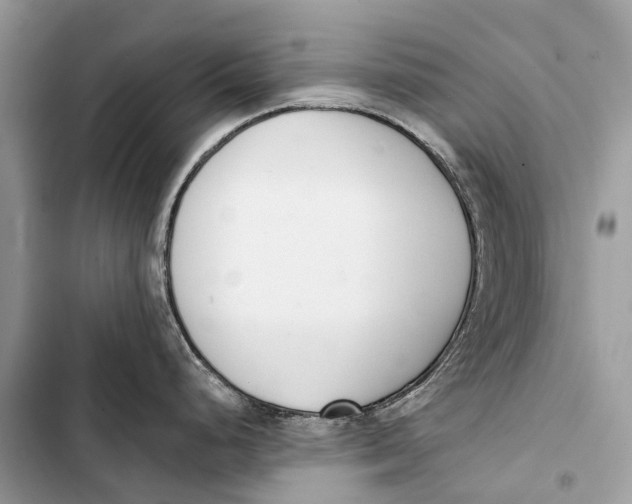 X0000103461248200810031451