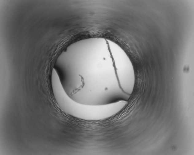 X0000103461249200810031450