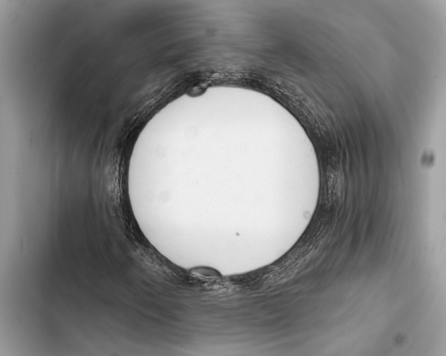 X0000103461250200810031450