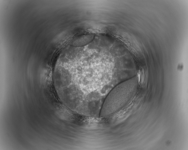 X0000103461251200810031450