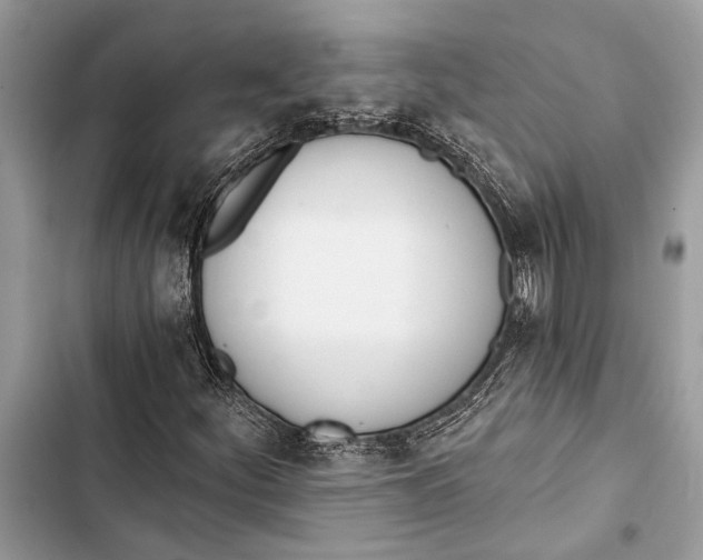 X0000103461252200810031450