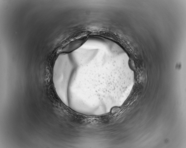 X0000103461253200810031450