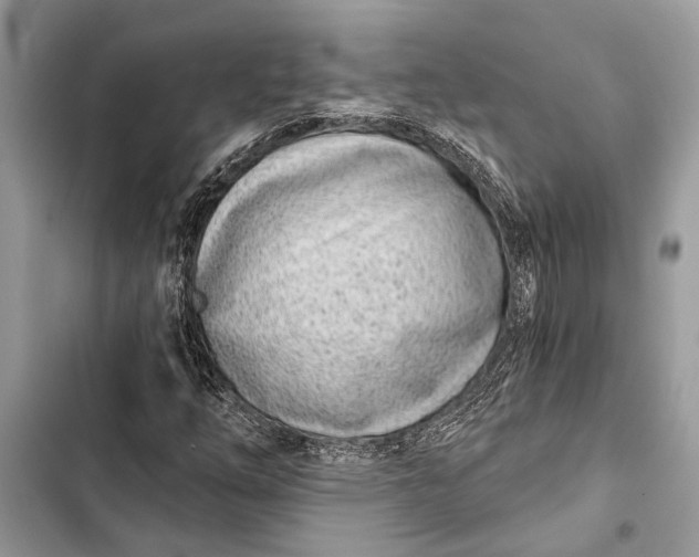 X0000103461254200810031450