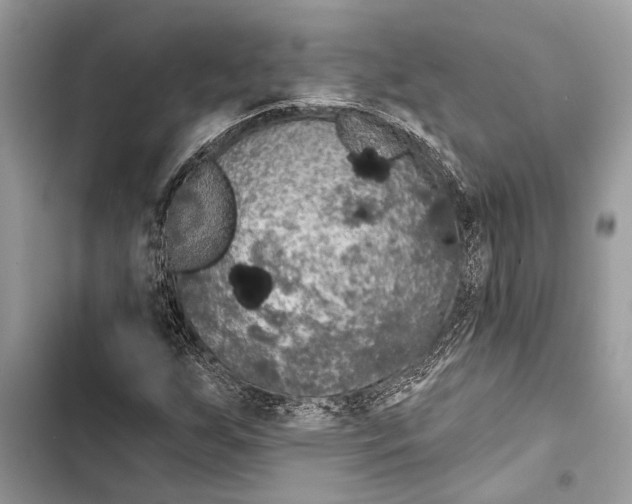 X0000103461255200810031450