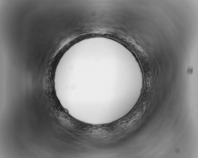 X0000103461256200810031450