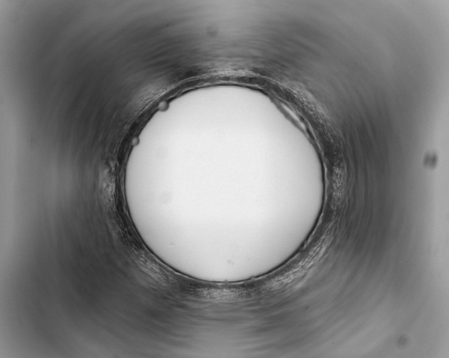 X0000103461257200810031450