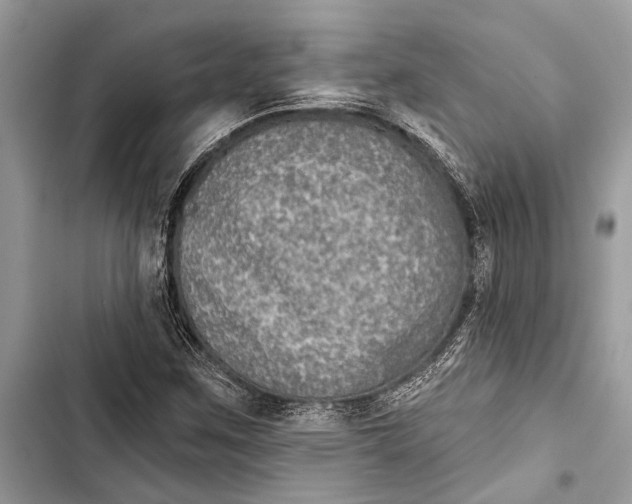 X0000103461259200810031450