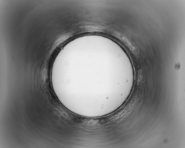 X0000103461261200810031450