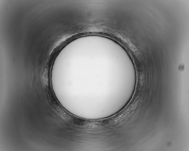 X0000103461262200810031450