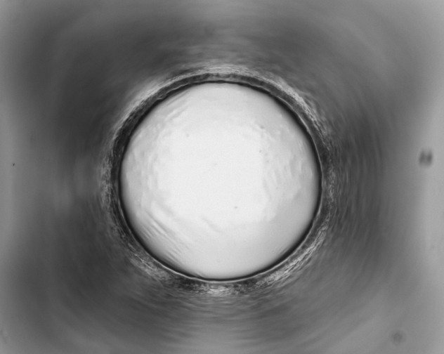 X0000103461263200810031450