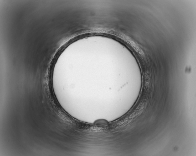 X0000103461264200810031450