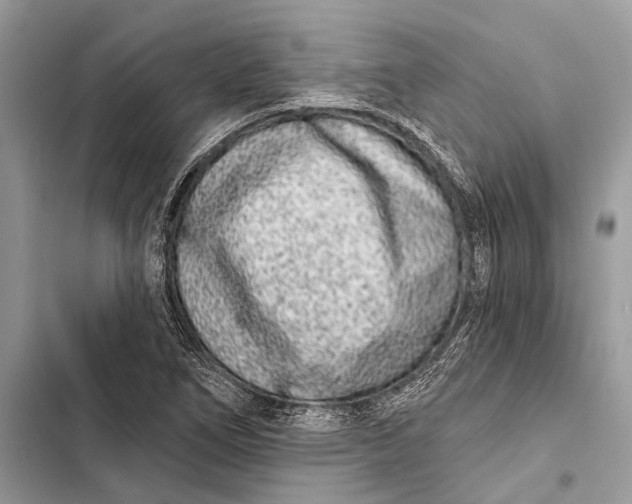 X0000103461266200810031450