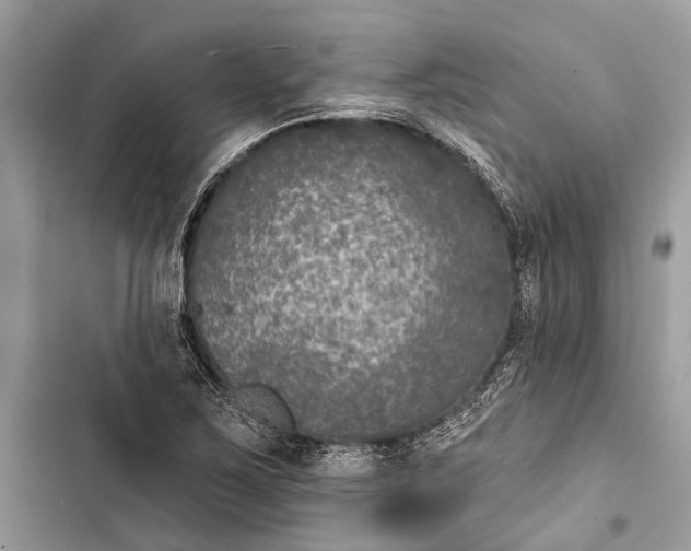 X0000103461267200810031450